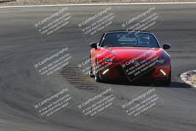 media/Oct-14-2023-West Coast Racing (Sat) [[6853f17b7b]]/Yellow Group/Session 1 (Turn 3)/